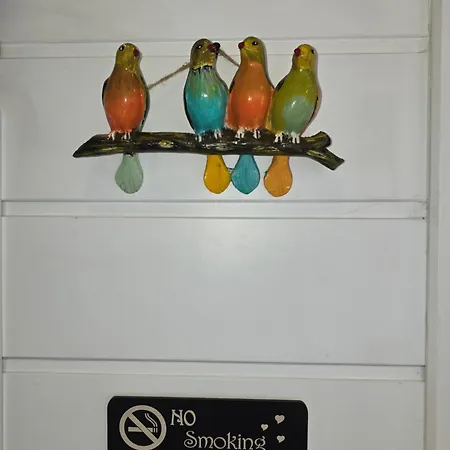 Pitipatibone Sahil Evi - House Camping *