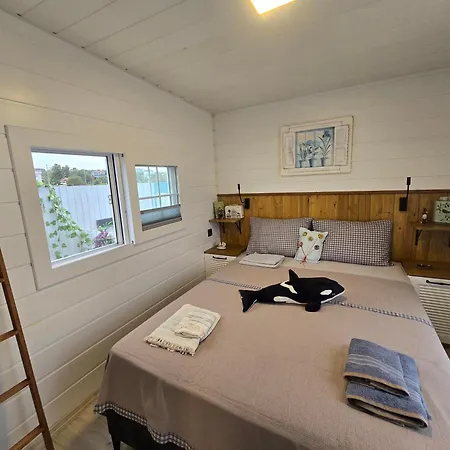 Pitipatibone Sahil Evi - House * Yukarı Kocaali