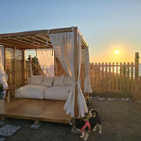 Pitipatibone Sahil Evi - House Yukarı Kocaali