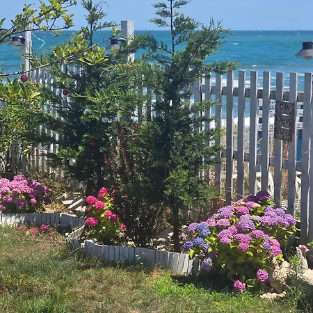Camping Pitipatibone Sahil Evi - House Yukarı Kocaali